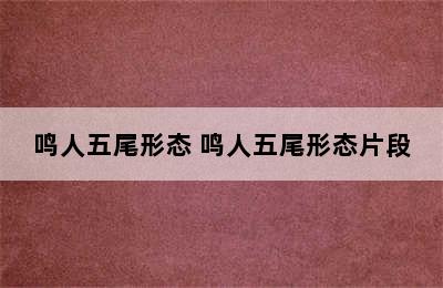 鸣人五尾形态 鸣人五尾形态片段